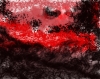 Entropia