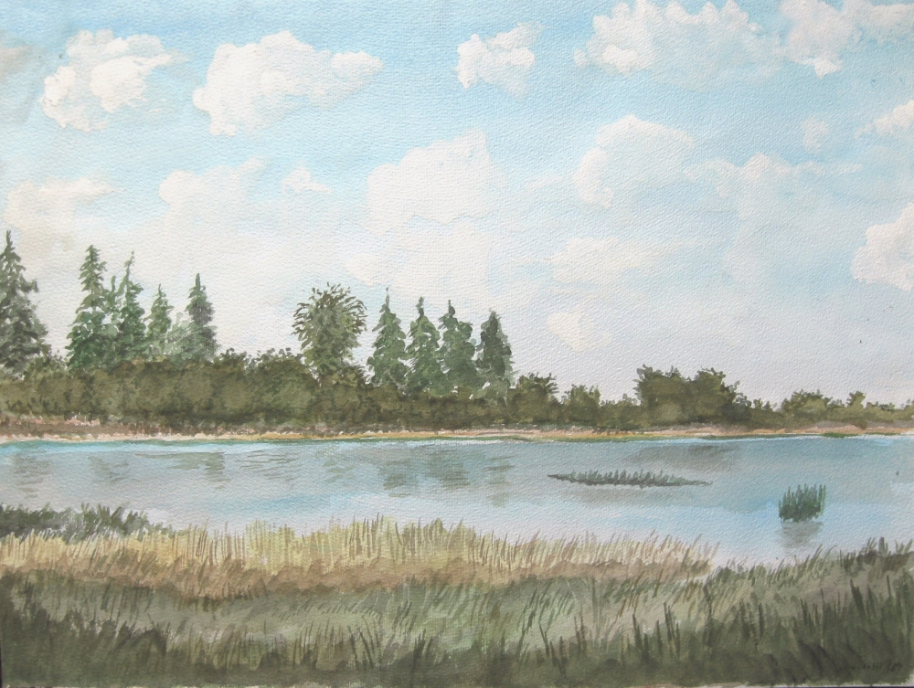 Flusslandschaft