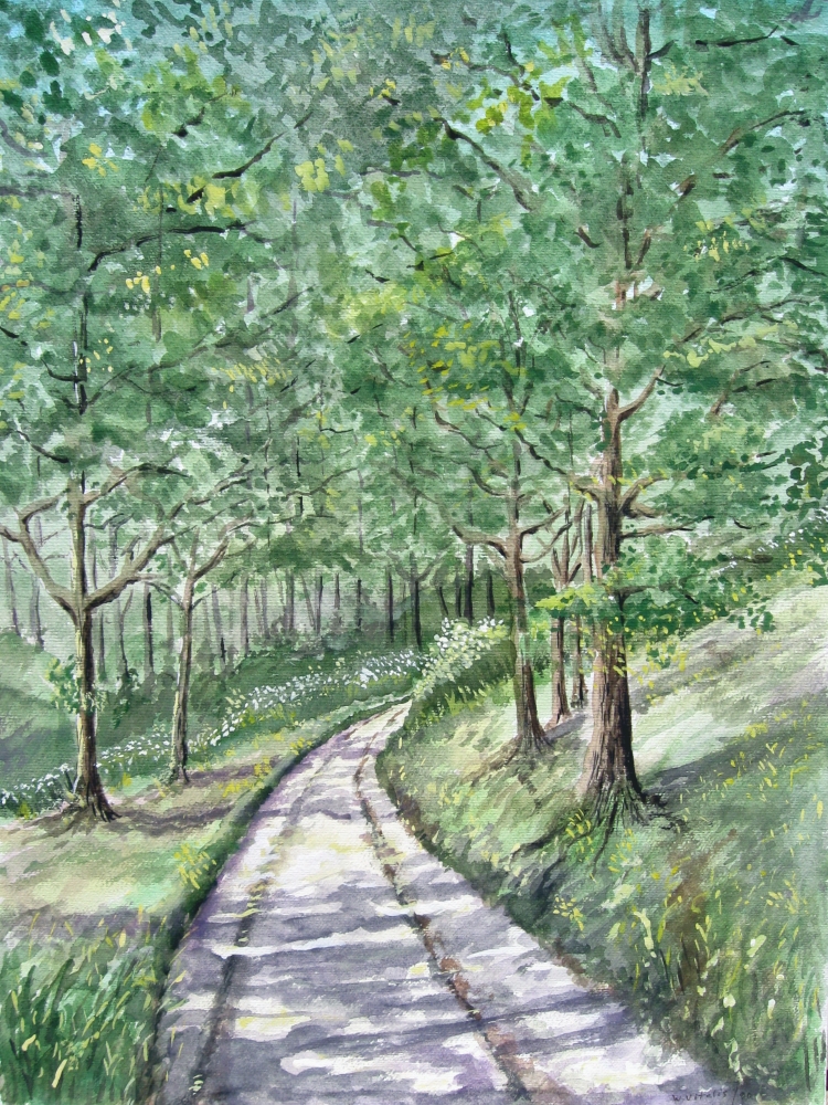 Waldweg im Frühling