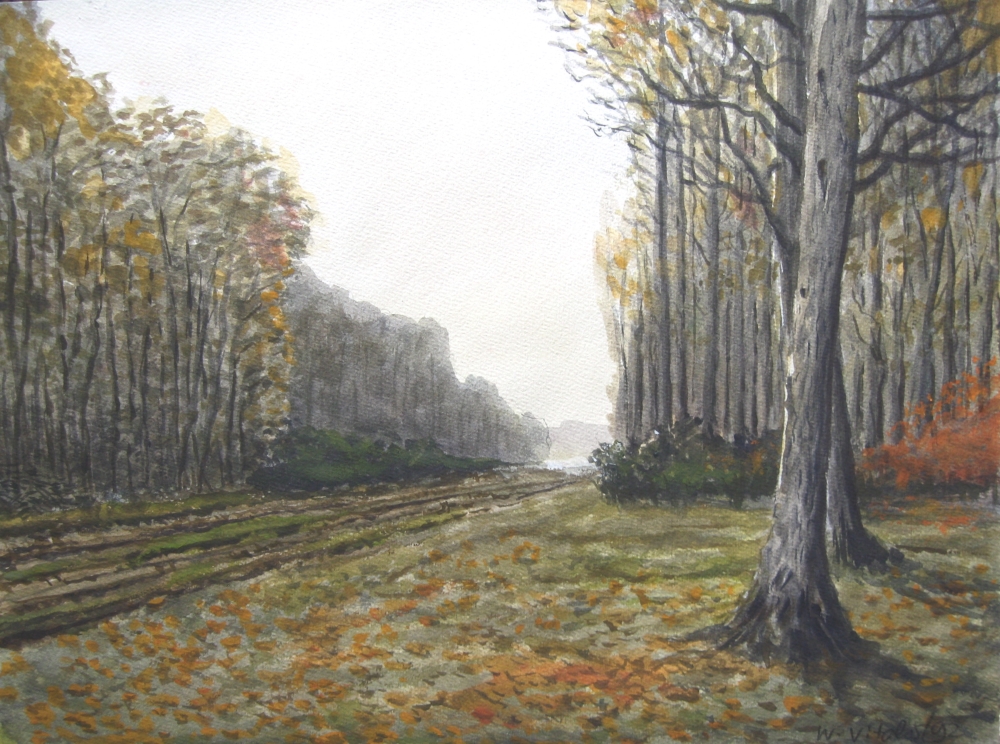 Herbstwald