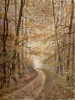 Waldweg im Herbst