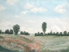 Mohnwiese