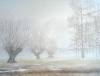 Nebel
