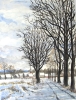 Schnee im Februar
