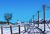 Schnee im Januar