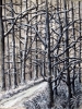 Spaziergang im Schnee