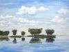 Seelandschaft