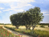 Spaziergang im Spätsommer