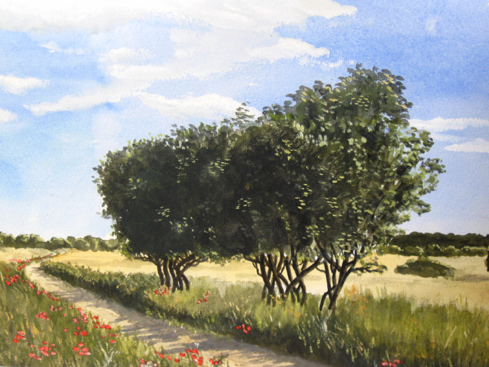 Spaziergang im Spätsommer