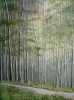 Waldweg III